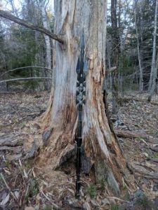 Ghklvdvaptgxzp7hx2q2ky 650 80