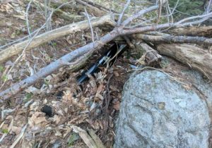 Vhsq8y9czvfdsfhweesmpb 650 80