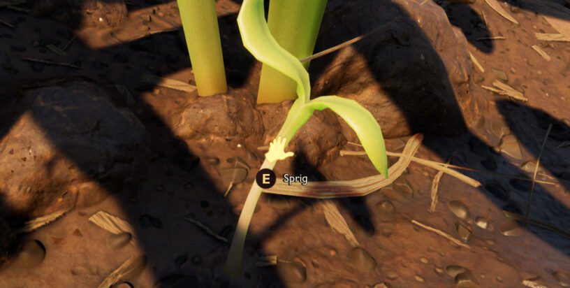 How To Get Axe In Grounded