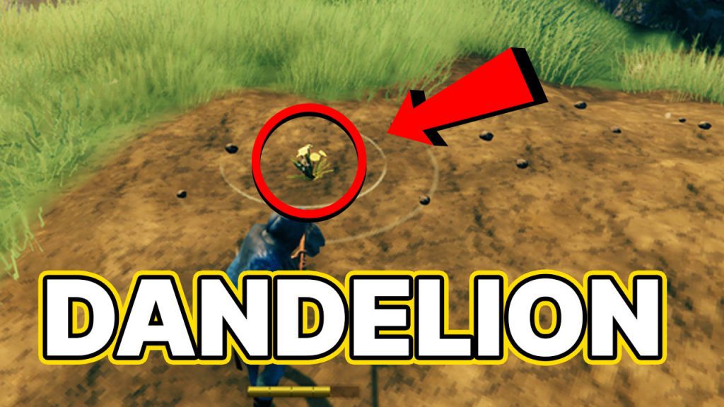 Valheim Dandelion - How To Get And Farm Easy Guide