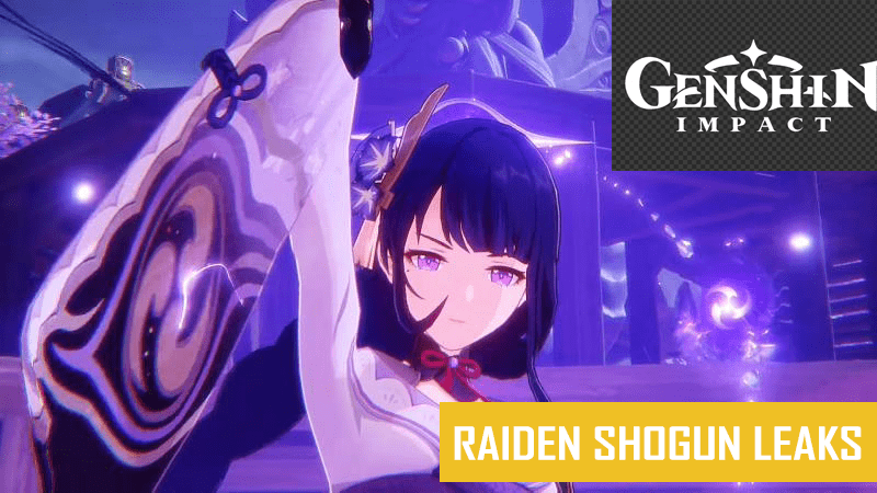 Raiden Shogun Leaks