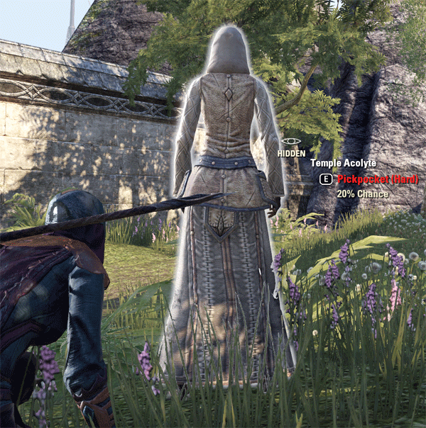 The Elder Scrolls Online