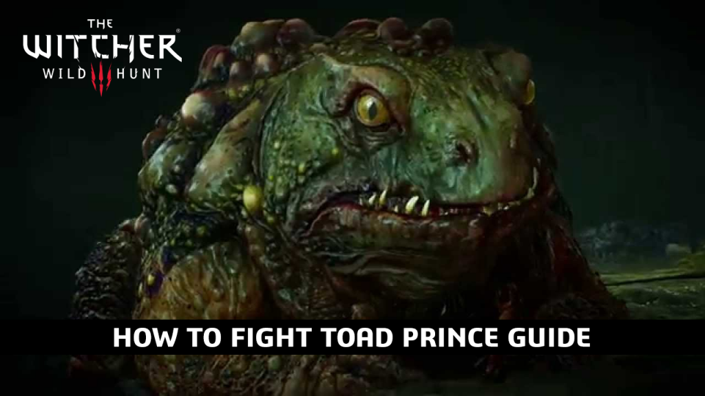 Toad Prince Guide, How To Defeat