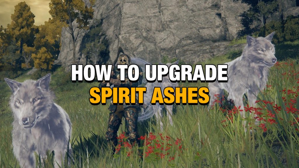 Elden Ring How To Upgrade Spirit Ashes