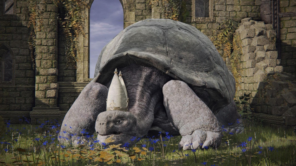 Elden Ring - Turtle Pope