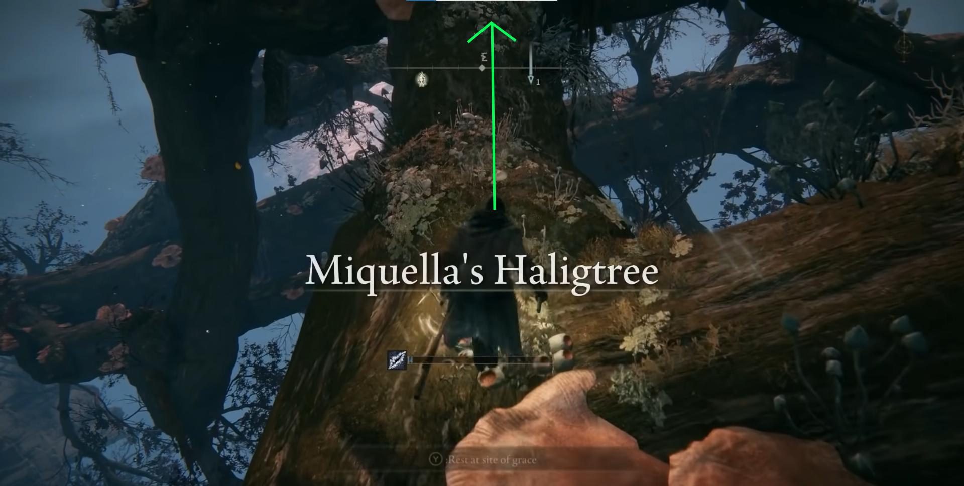 Elden Ring: Where To Find Malenia + How To Beat