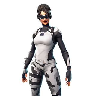 Fortnite Arctic Assassin