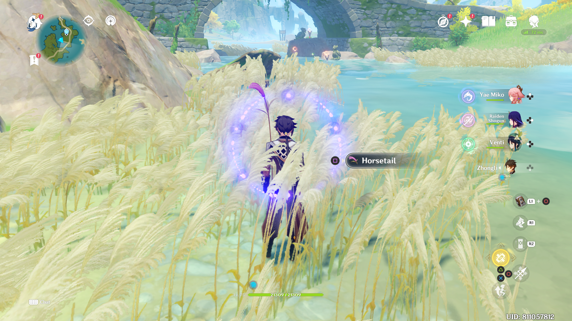 Genshin Impact - Horsetail 22
