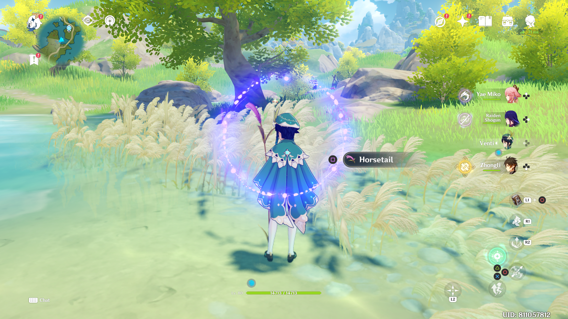 Genshin Impact - Horsetail 25