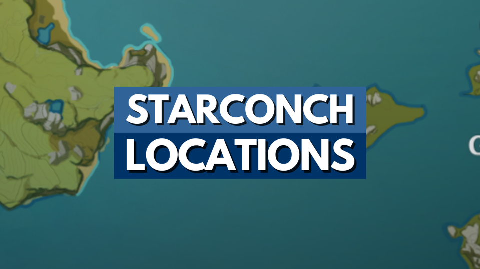 Genshin Impact - Starconch Cover