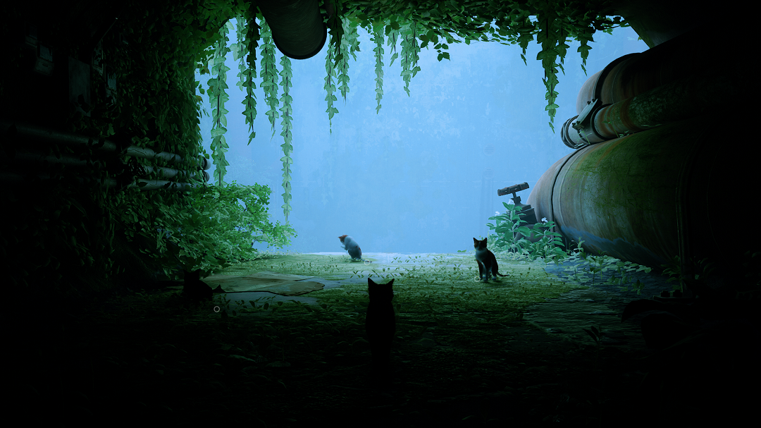 Stray Game Realism