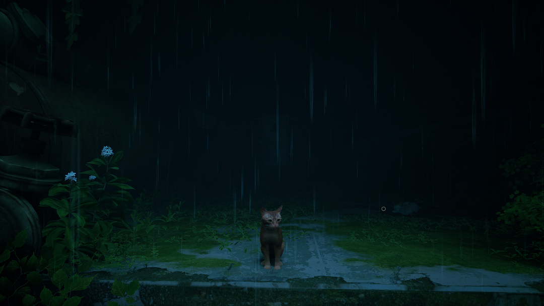 Stray Gameplay