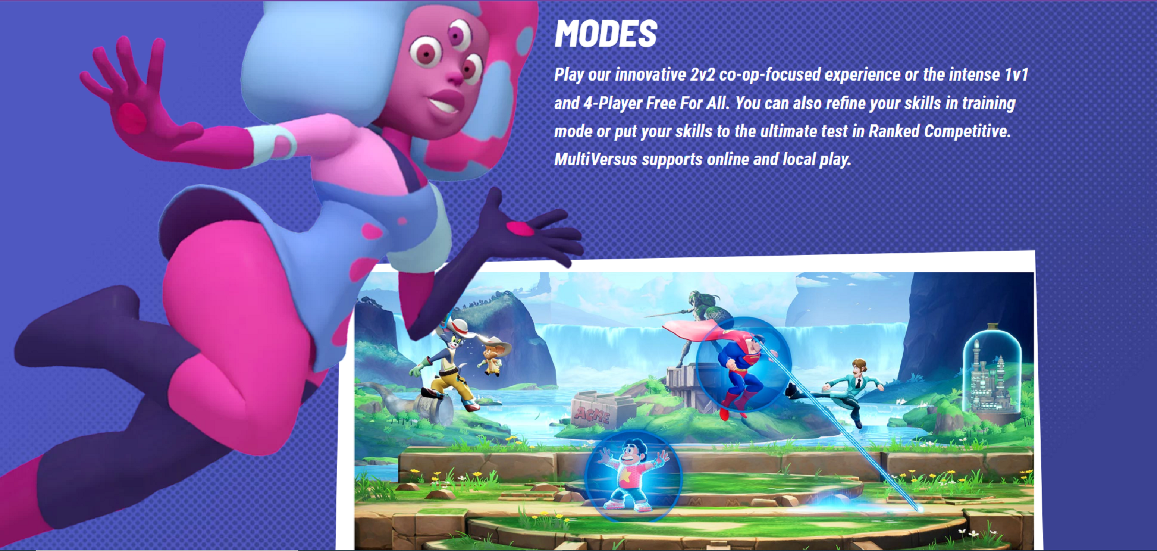 MultiVersus modes