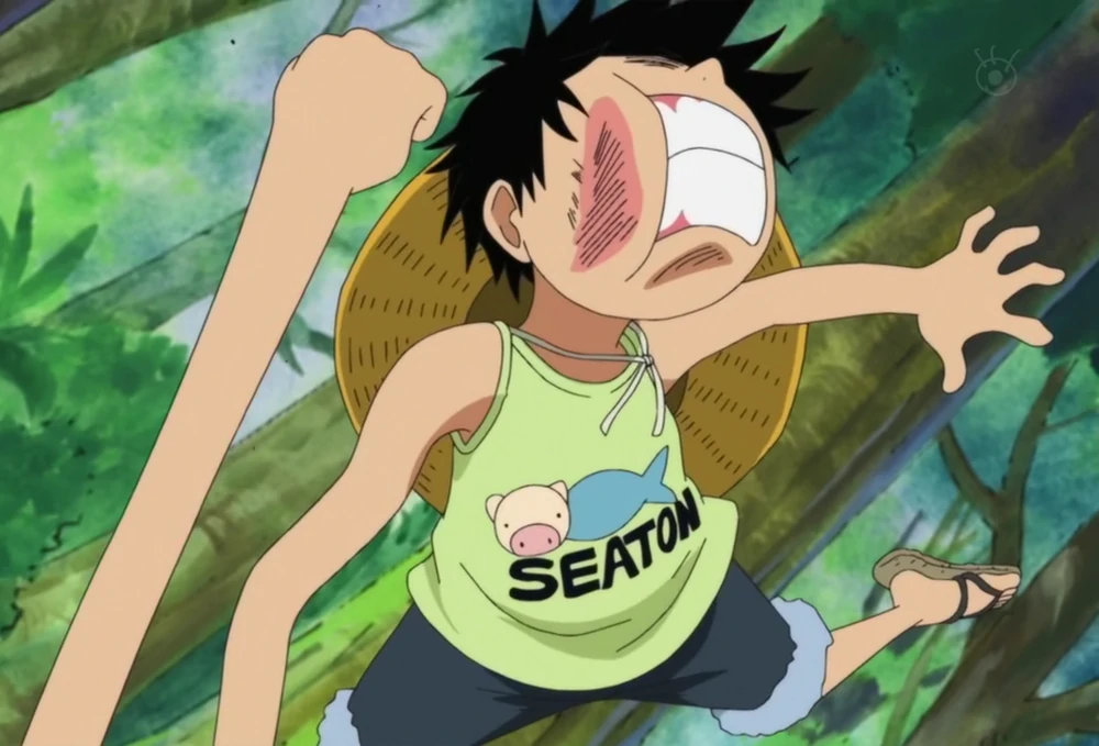 Devil Fruits in One Piece