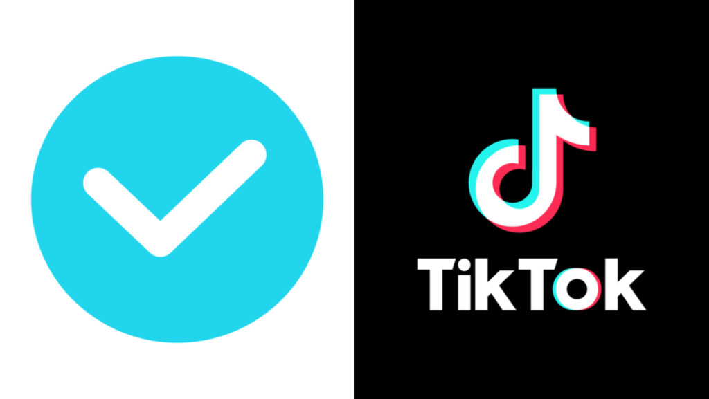 TikTok Verified Steps