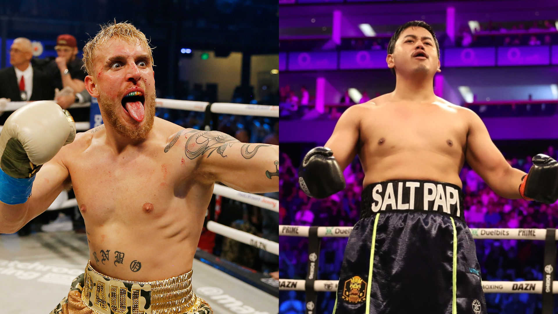jake paul vs salt papi