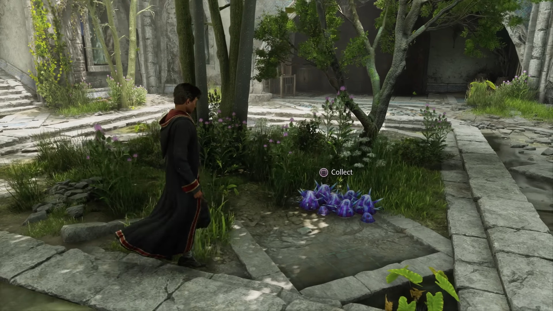 Hogwarts Legacy All confirmed potions and how to brew them - Gather