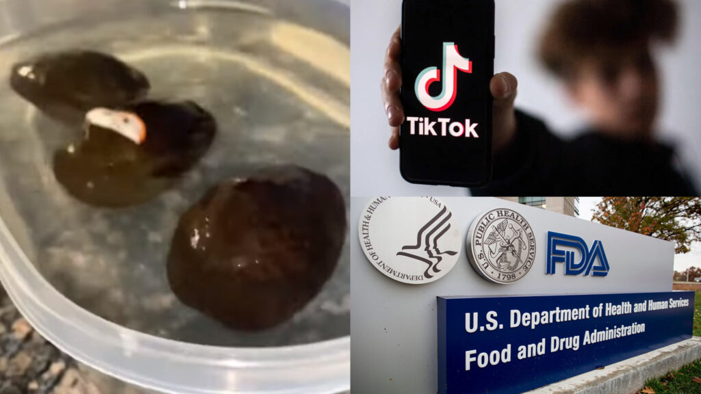 TikTok Avocado Hack the proper way - Cover Picture