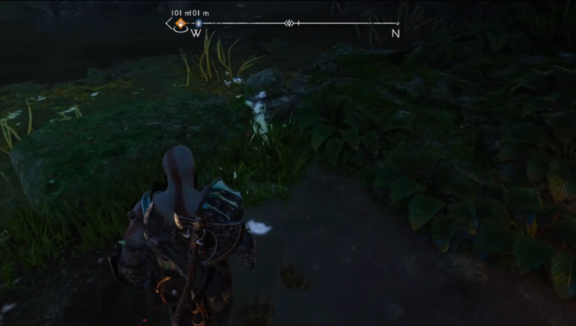 3 Can you save Birgir