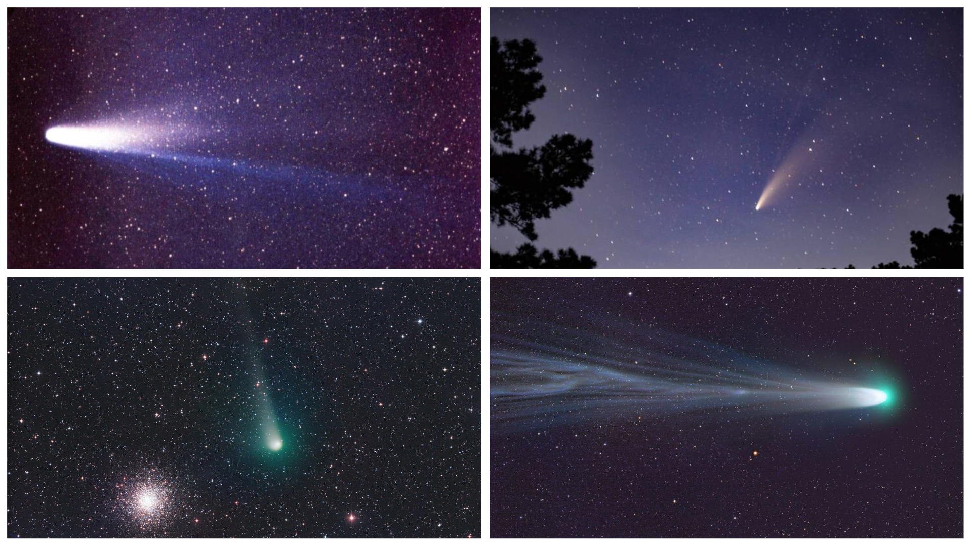 The most notable newly discovered Comets 2022