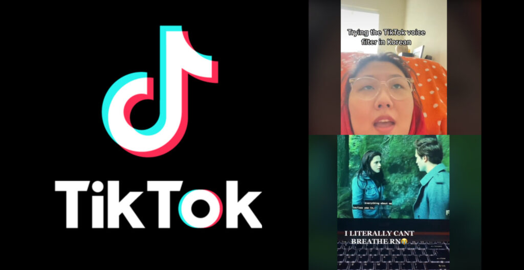 TikTok How to get Voice Filter - Cover Picture