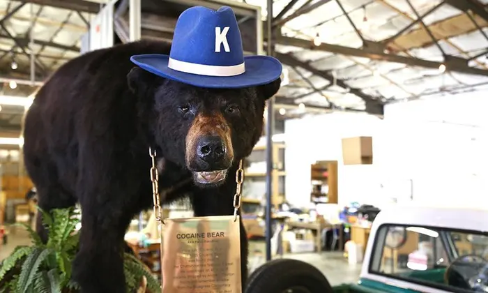 Cocaine Bear in Kentucky