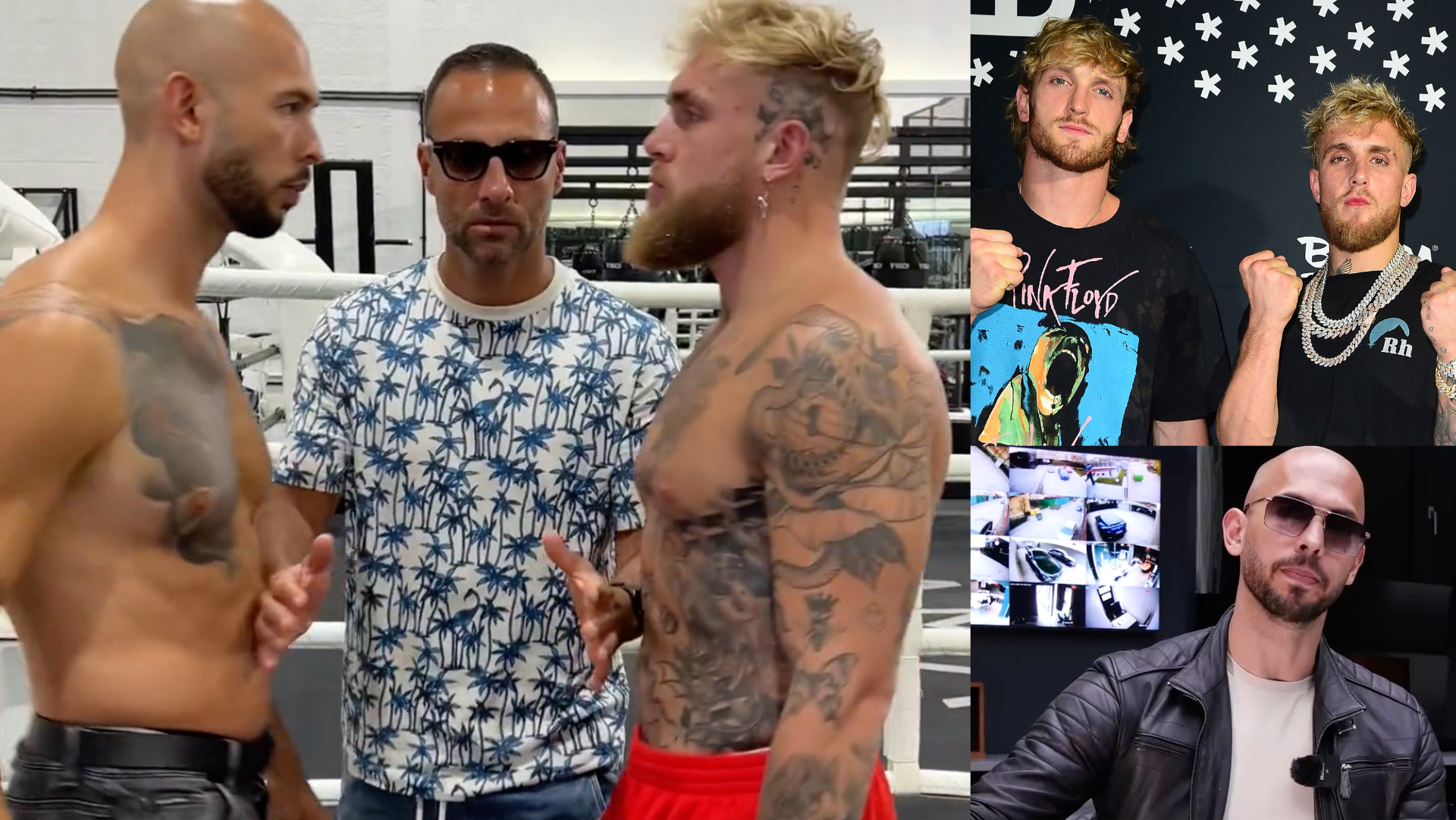 Andrew Tate Jake Paul tweet fight