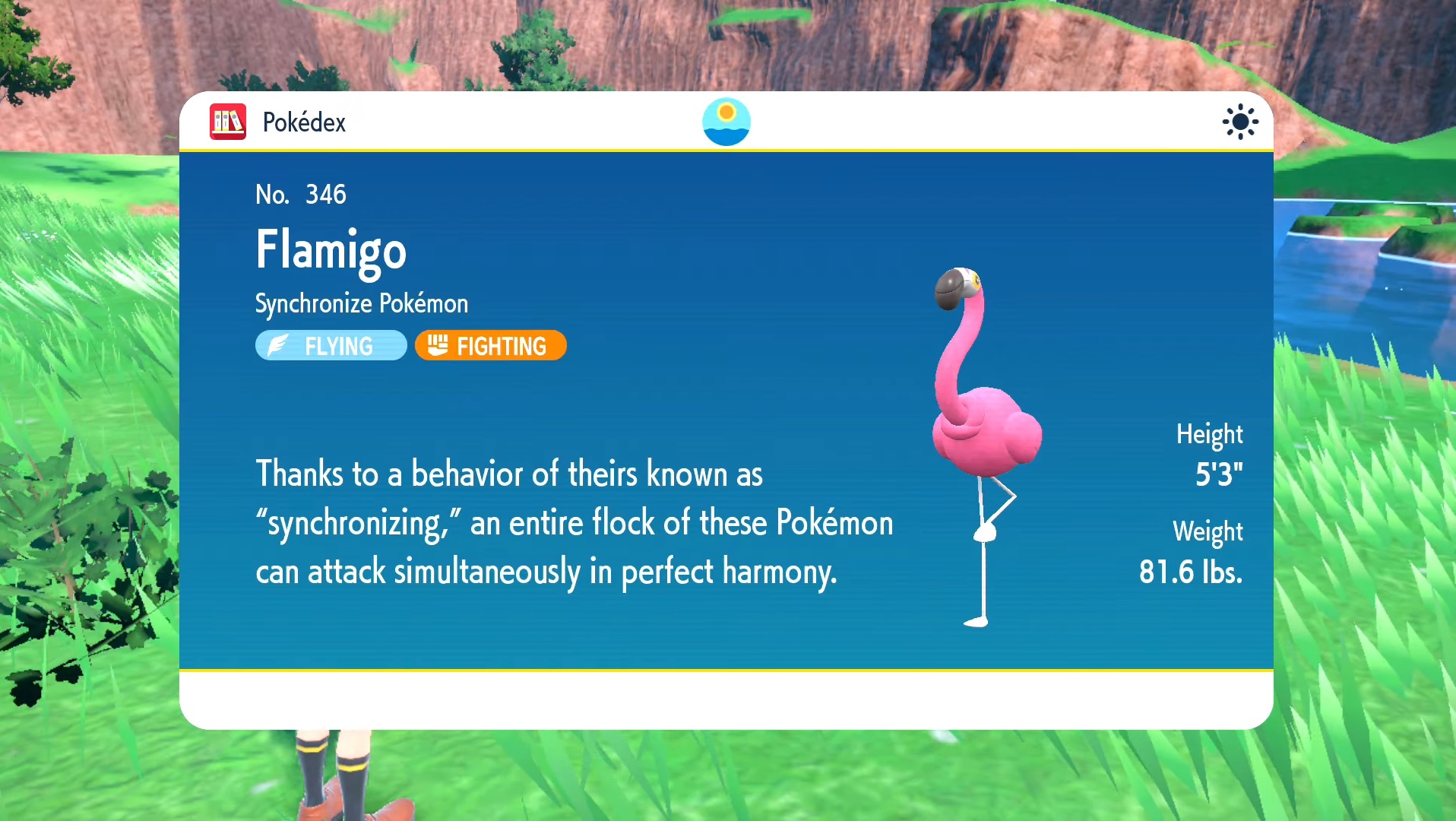 Pokemon Scarlet and Violet Flamigo