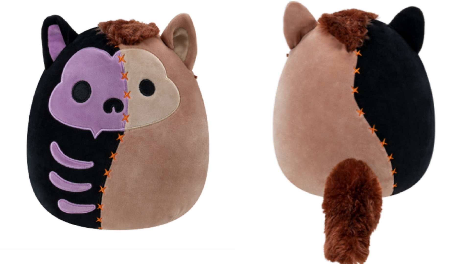 Top 3 Cutest Squishmallows, Wade