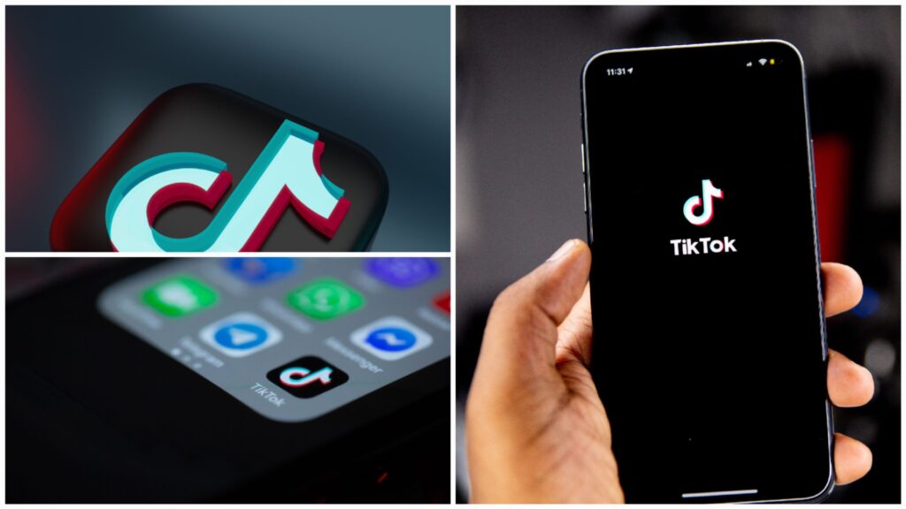 TikTok Ban in USA state list