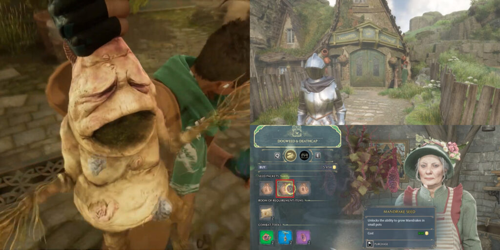 Hogwarts Legacy Mandrake - How to get