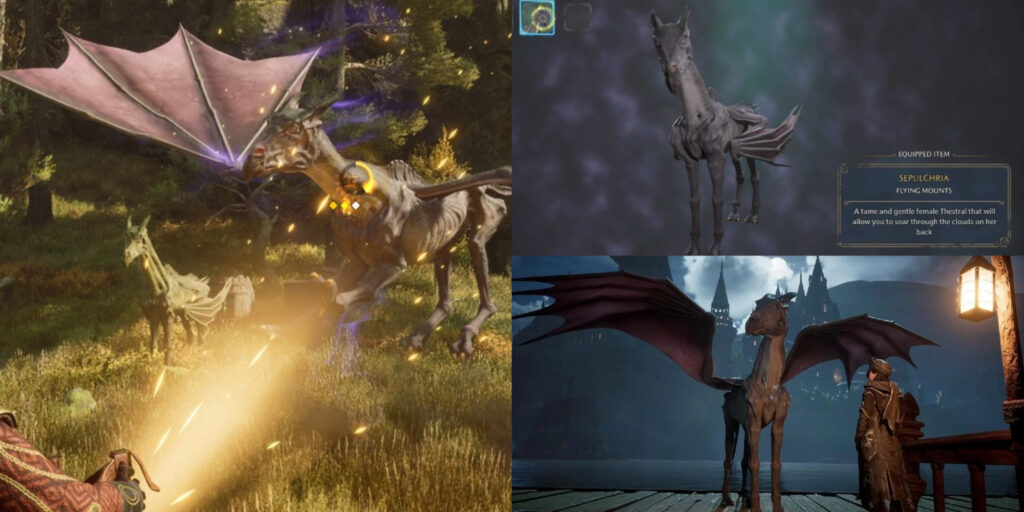 Hogwarts Legacy Thestral - How to catch