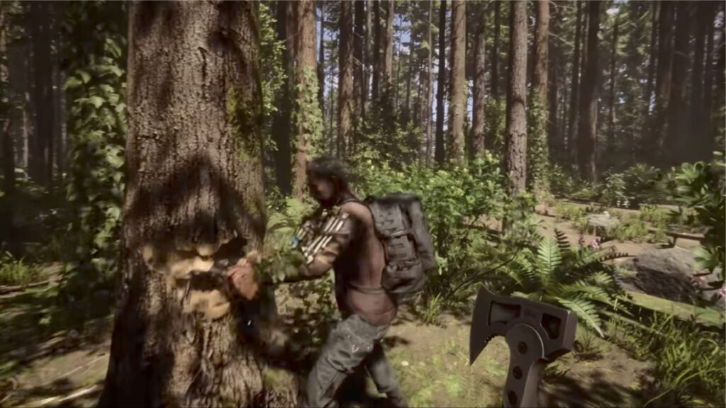 Sons of the Forest Trees regrow
