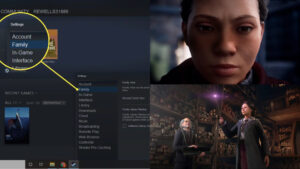 Steam: Hogwarts Legacy Deluxe Edition, Game Share – Explained