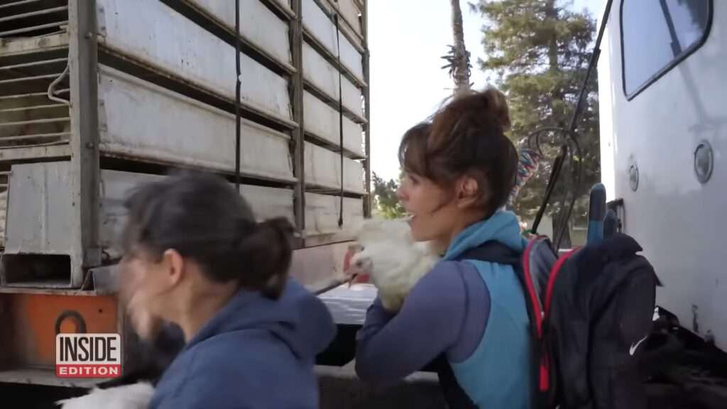 Baywatch Star Alexandra Paul Not Guilty in Chicken Theft ; Here's what really happened