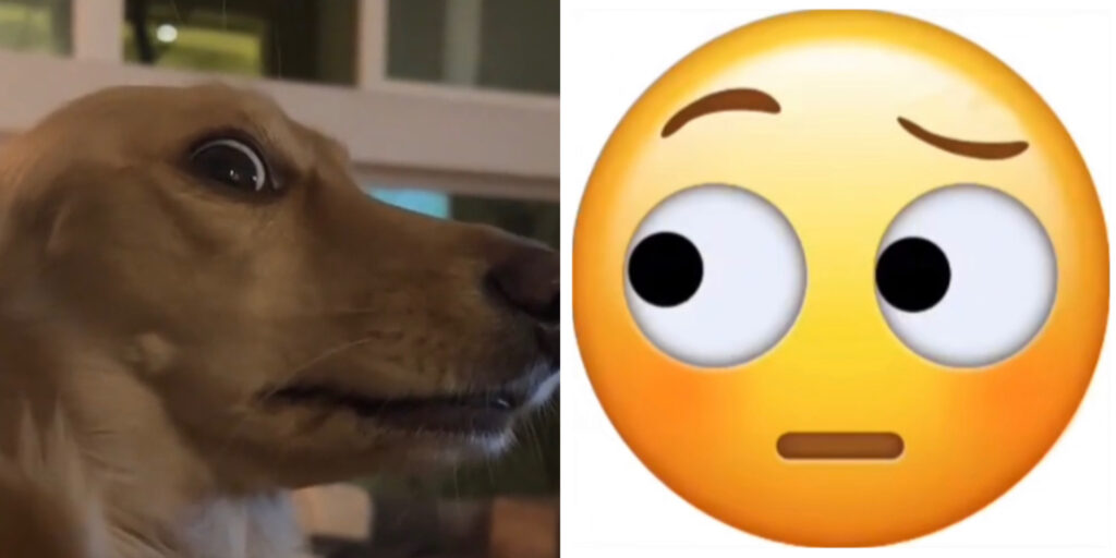 Beyond Words The Meaning of Bombastic Side Eye trend on TikTok