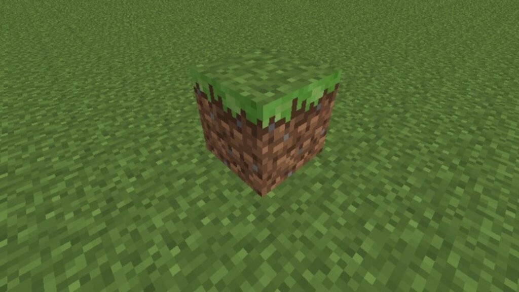 A Dirt Block in Minecraft