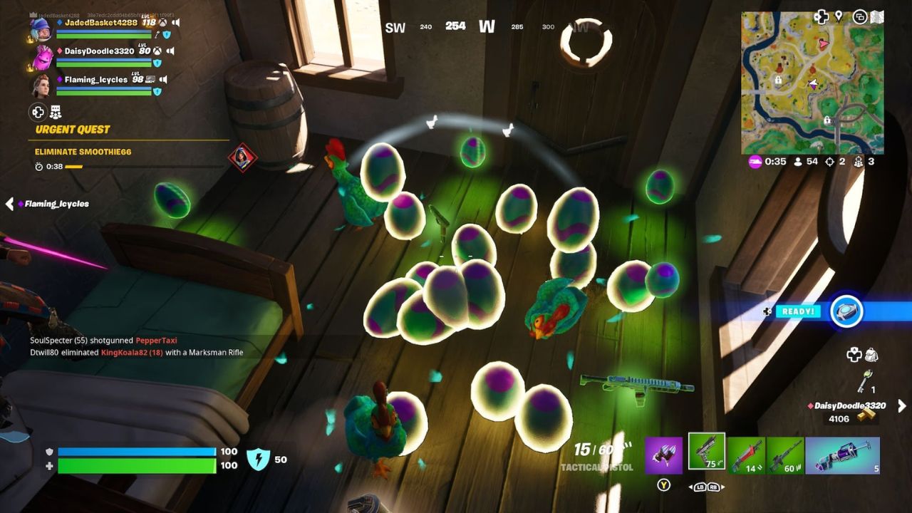 Gathering eggs indoor