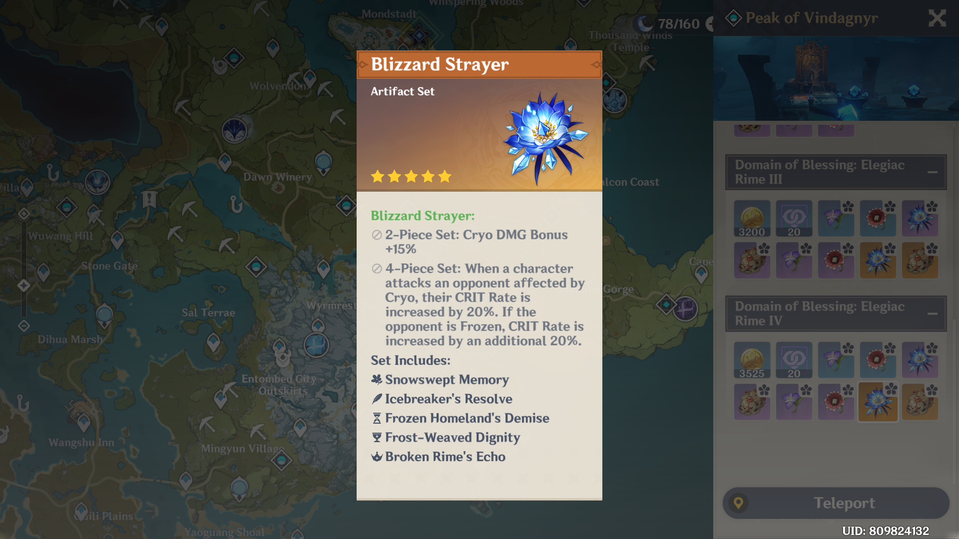 Blizzard Strayer 