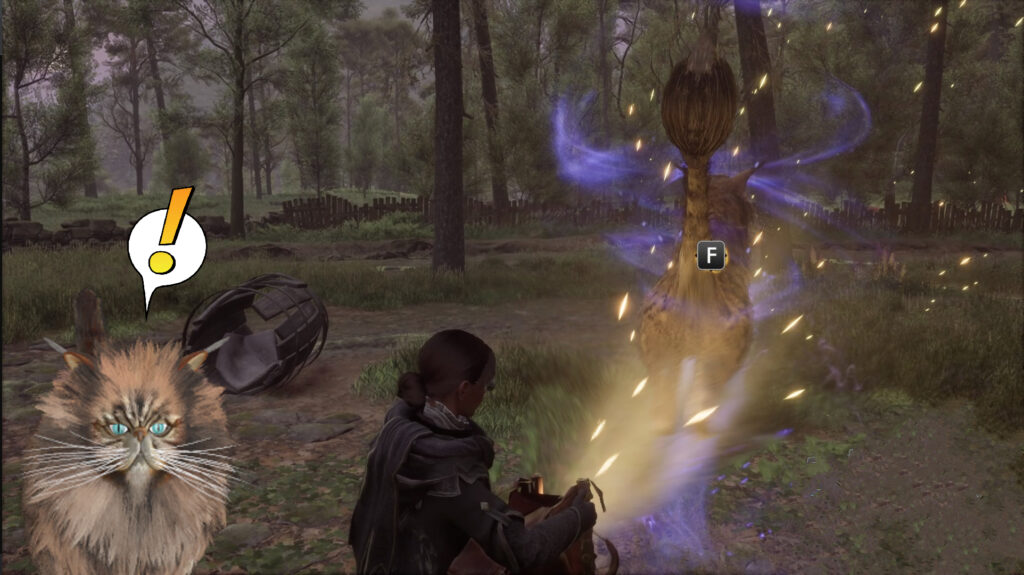 Hogwarts Legacy Kneazle Location, Where to Find