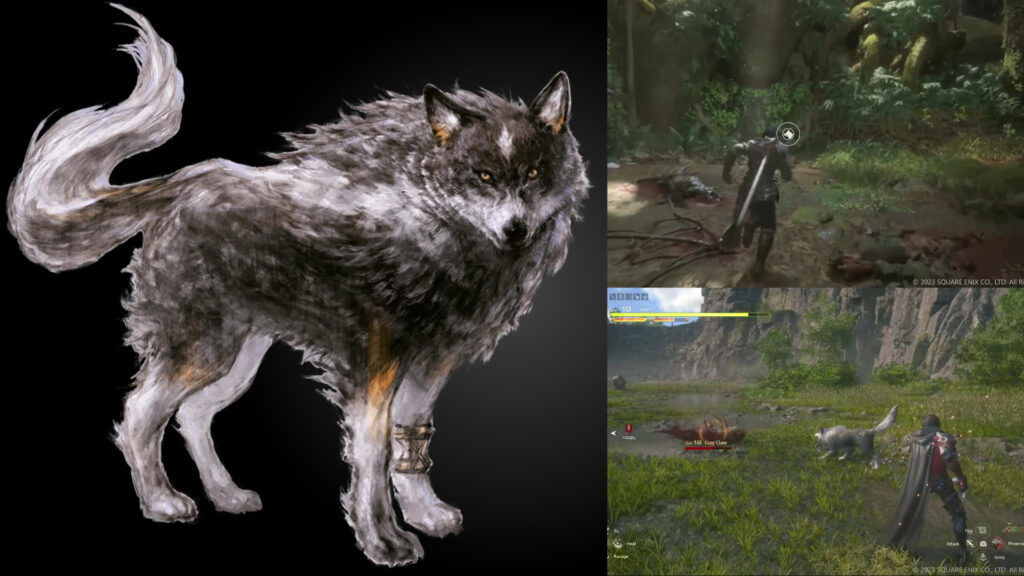 Final Fantasy 16 What can your dog do - All Commands we know so far - Featured
