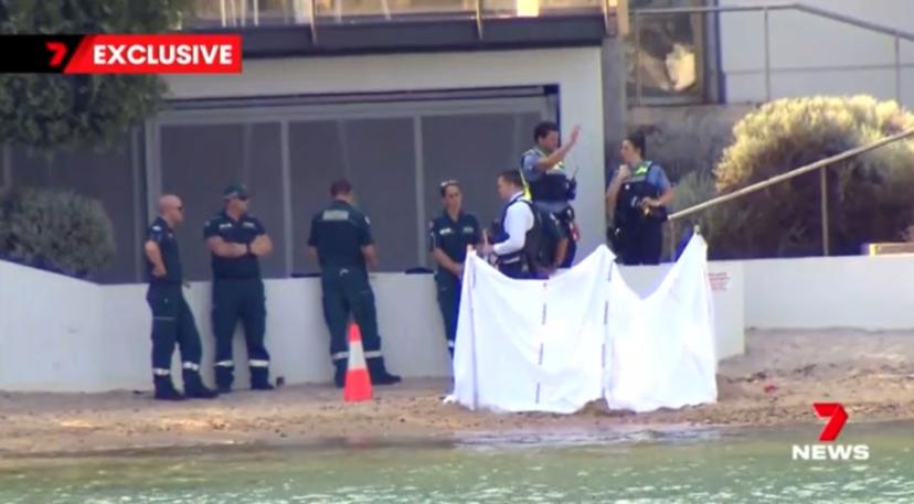 Shark attack, perth