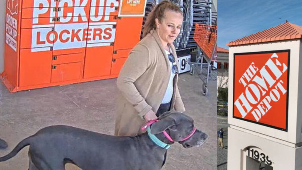What Will Happen to the Dog that Attacked a Home Depot Customer in the Face