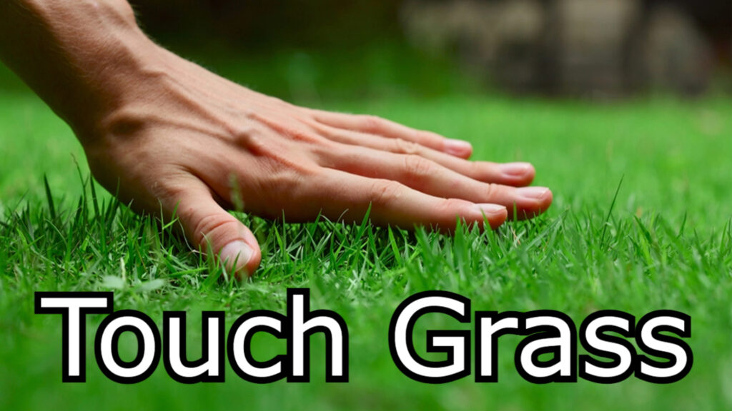 Touching grass meme internet slang meaning origin