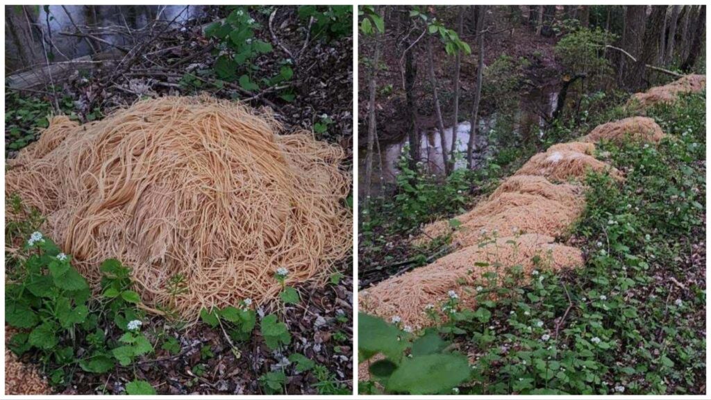 500 pounds of pasta dumped near river in New Jersey
