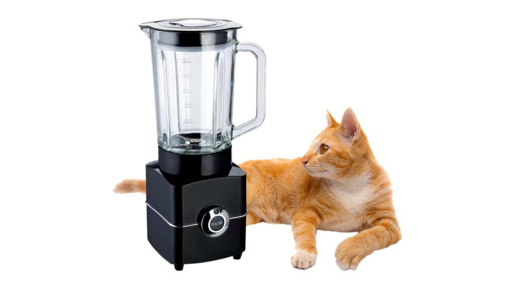 Cat blender video viral social media