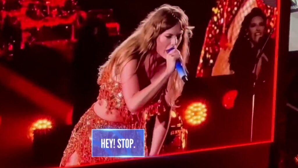 Taylor Swift security guard Eras Tour concert video