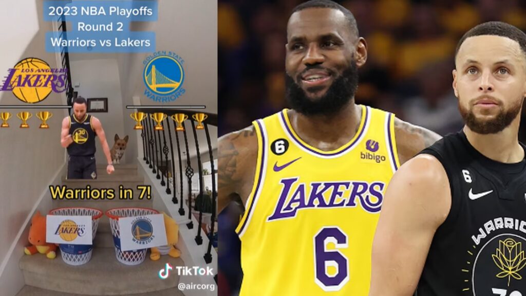 TikTok: Corgi Predicts Who would win between the Lakers-Warriors matchup in the playoffs | NBA fans thrilled