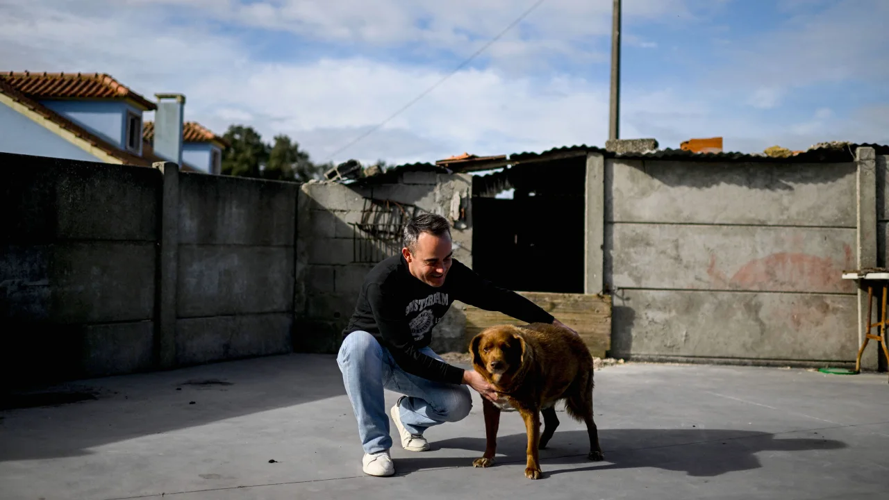 World's oldest dog Bobi