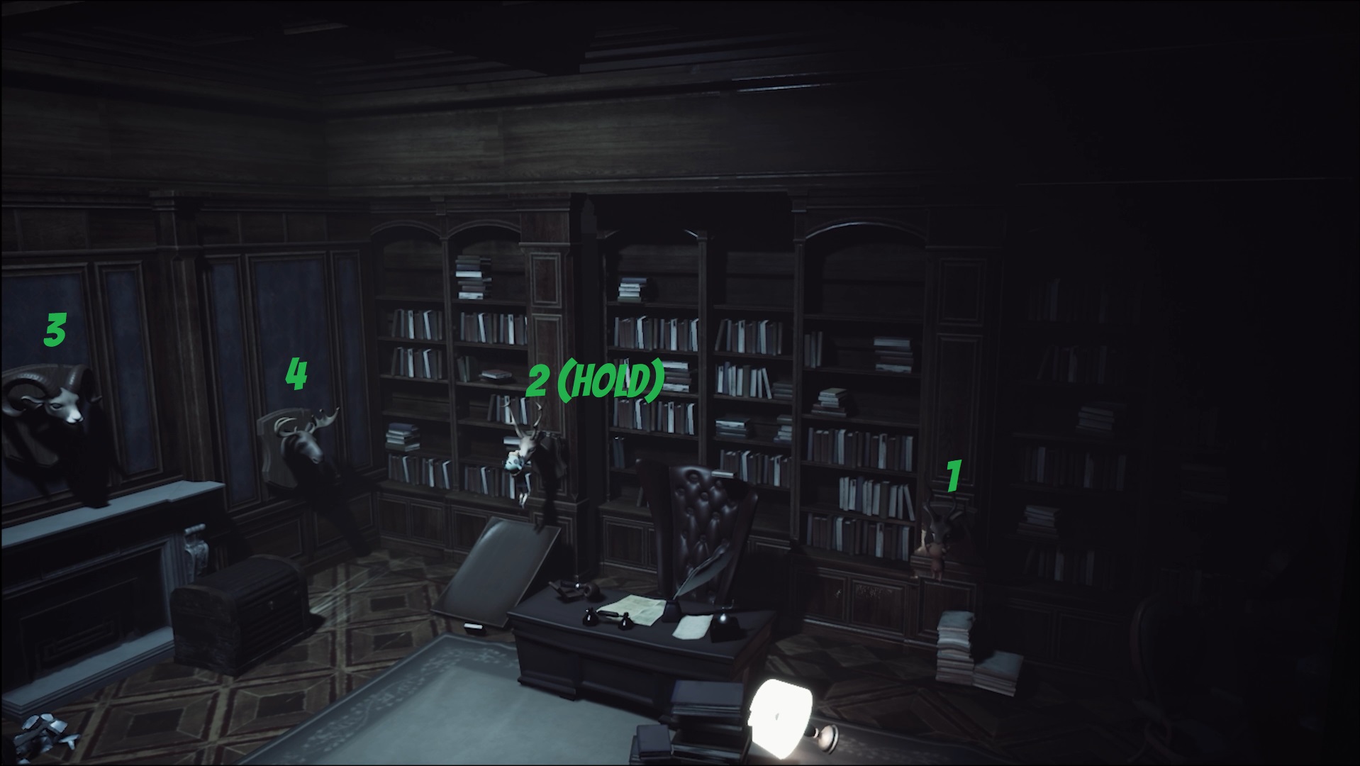 Daydream Forgotten Sorrow Library Taxidermy